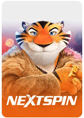 NextSpin